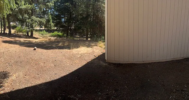 1532 Daphne Dr #B — Photo 11