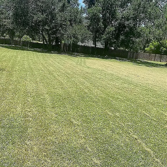 4615 Scott Rd — Photo 35