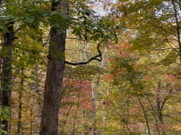 33 Eagle Rdg, Ball Ground, GA 30107