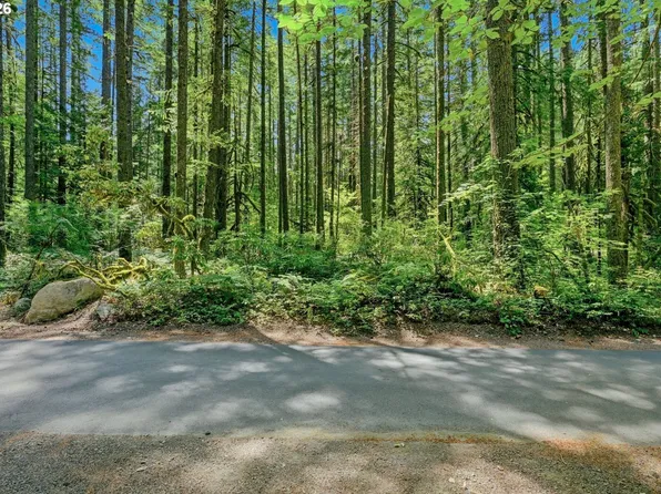 0 E John Lake Rd, Rhododendron, OR 97049