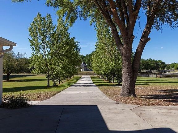 Tree-lined driveway looking down to Derby Drive.