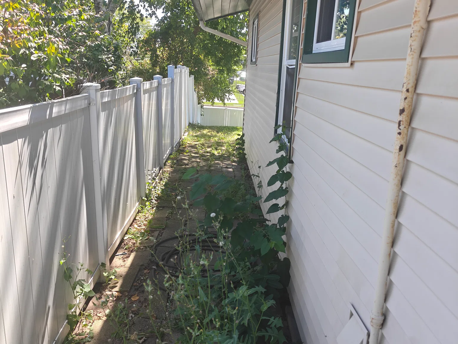 213 Butte Ln, Carpentersville — Photo 4