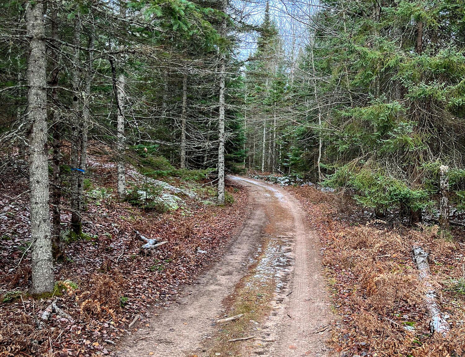 0 S Hendrie River Rd, Hulbert, MI 49748 MLS 231103 Zillow