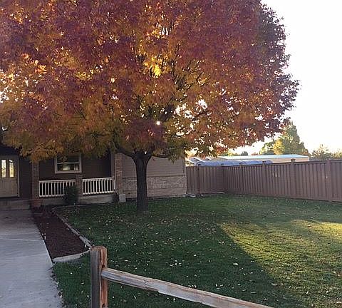 front yard