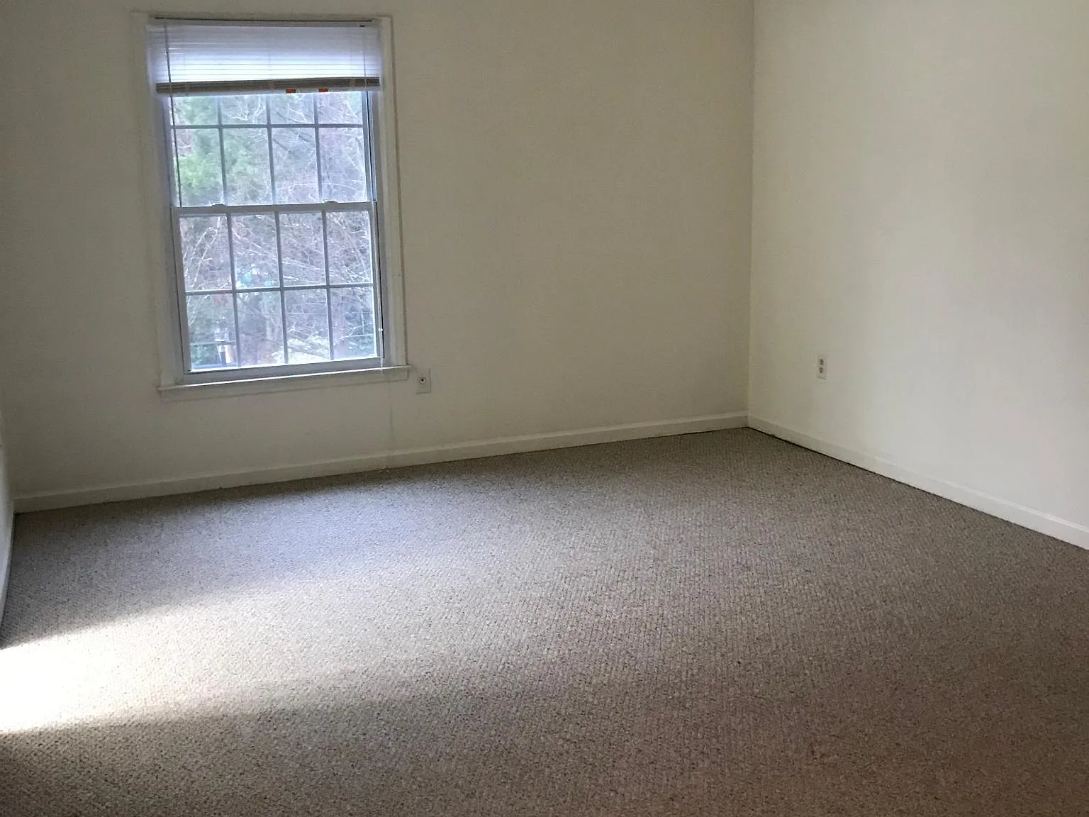 2 bed, 1100 sqft, $1,300 — Photo 4