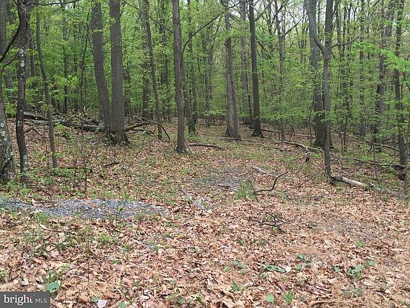 2nd image of 284 Iris Ln