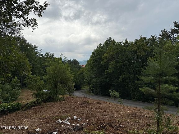 3rd image of LOT 108 Smoky Vista Way