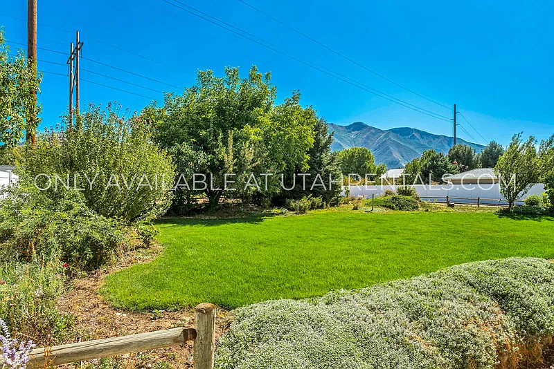 1 bed, 1.0 bath, $1,250 — Photo 4