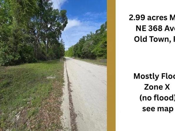 NE 368th Ave, Old Town, FL 32680