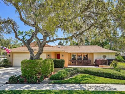 2704 Herndon St, Valrico, FL, 33596