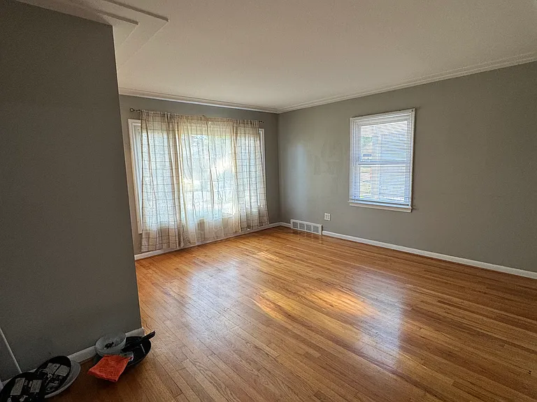 20524 Fox — Photo 3