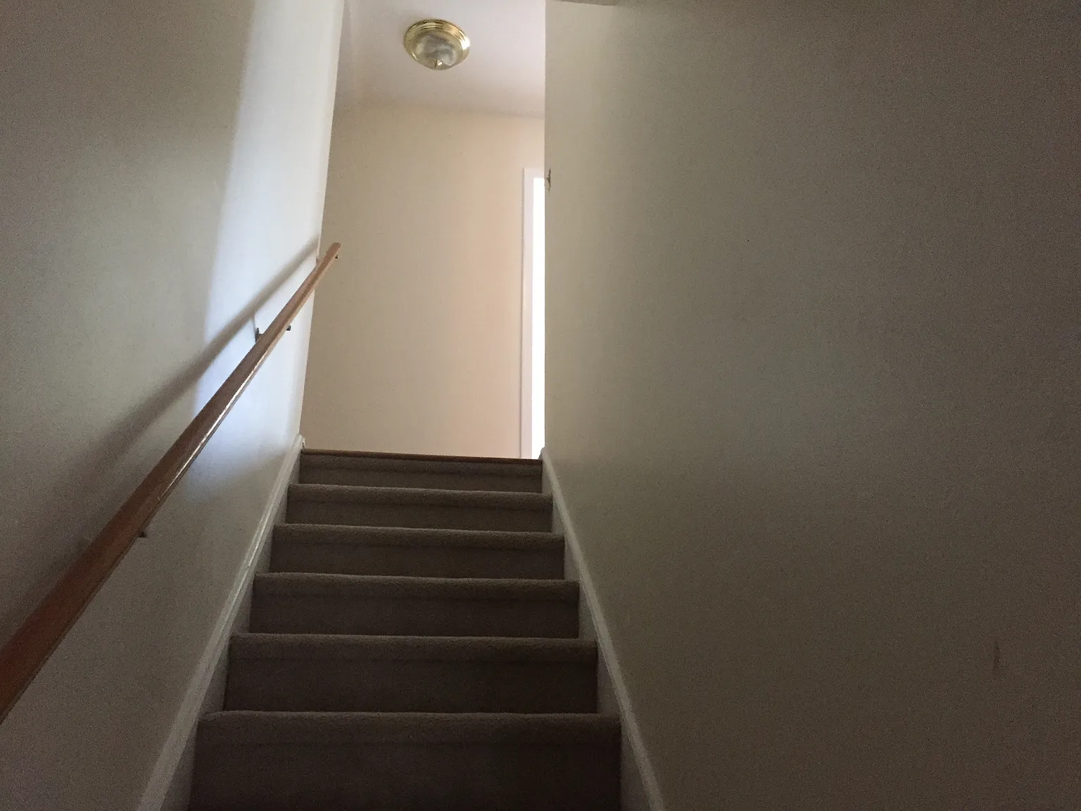 1305 Wertland St — Photo 4