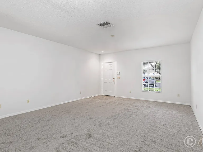 15807 Fishhawk Falls Dr — Photo 4