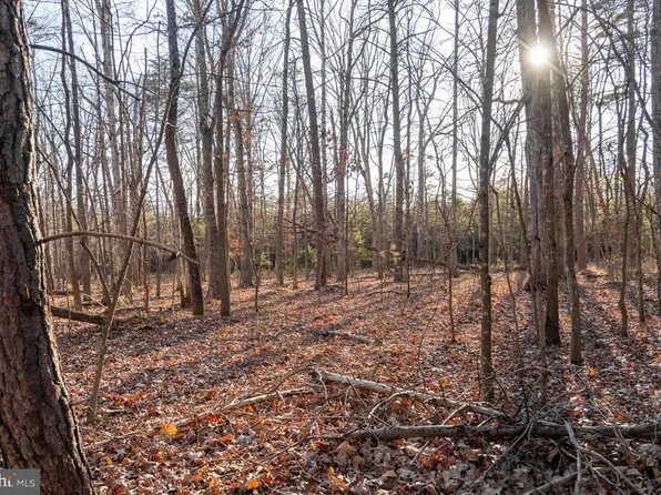0 Woodland Dr, Luray, VA 22835