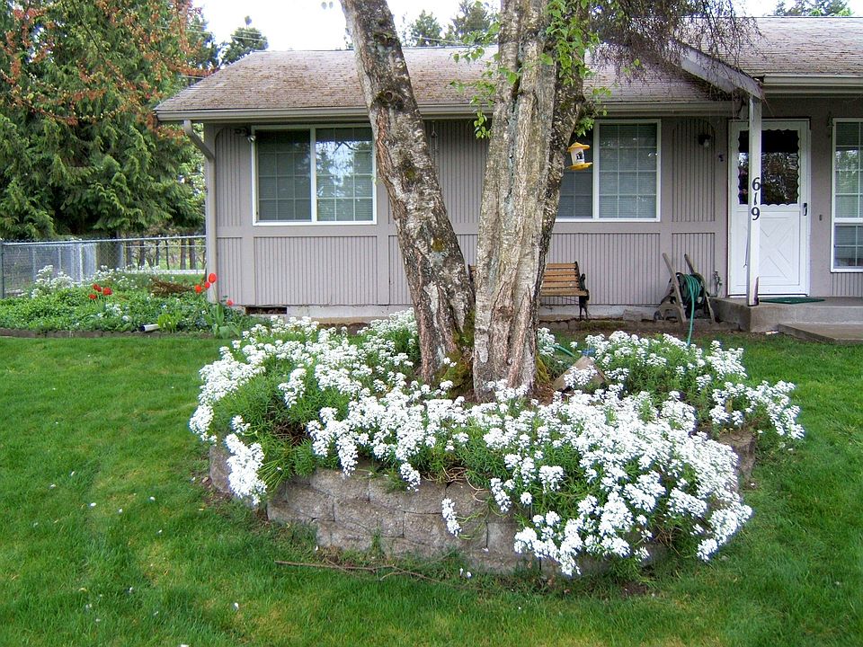 2nd image of 619 Lana Lee Ct SE