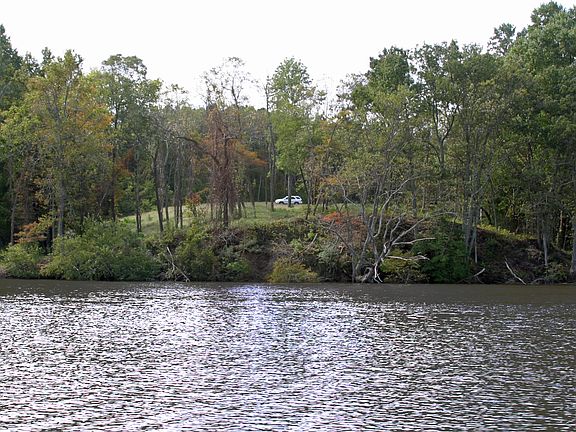 View From Coan River