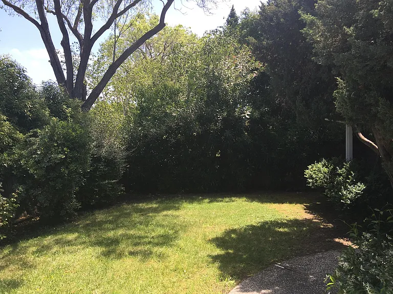Lupine Ave — Photo 6