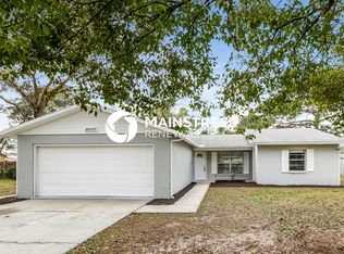 3217 Bluestone Ave, Spring Hill, FL 34609