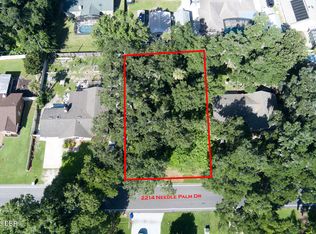 2214 Needle Palm Dr, Edgewater, FL 32141