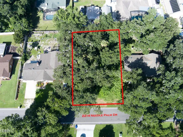 2214 Needle Palm Dr, Edgewater, FL 32141