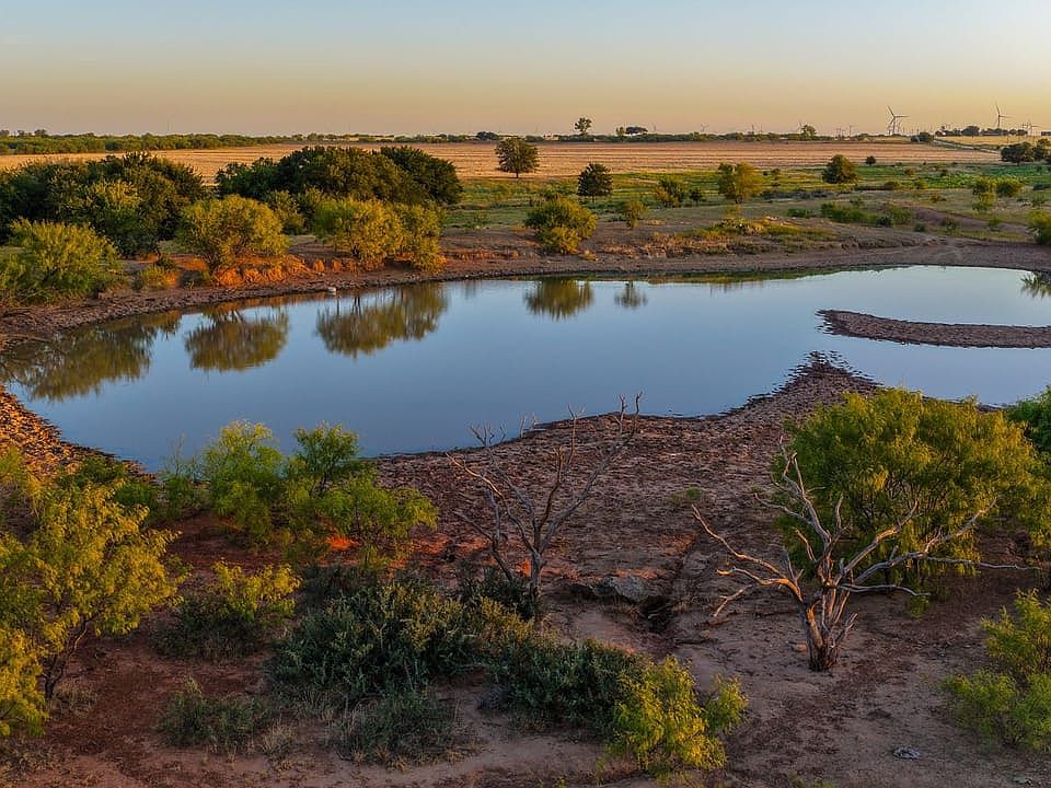Pringle Rothell Farm, mature mesquite trees, hardwood trees, ponds, native grasses, utilities