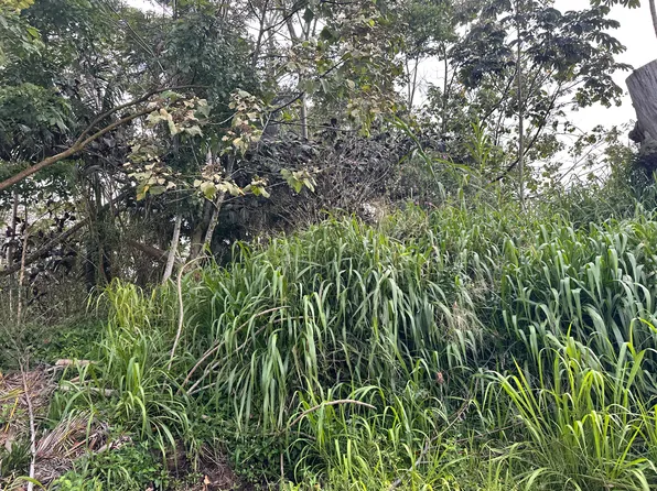 Silversword Ct Lot 8, Kurtistown, HI 96760