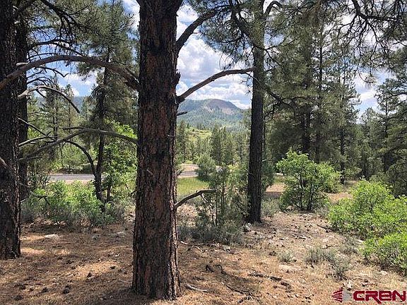 4th image of 596 Ginger Circle
