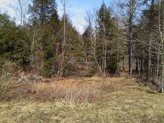 4th image of 232 Beech Ridge Rd