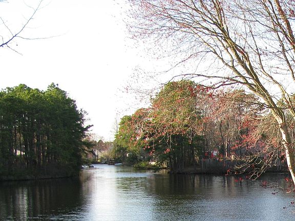 Backyard view of lake