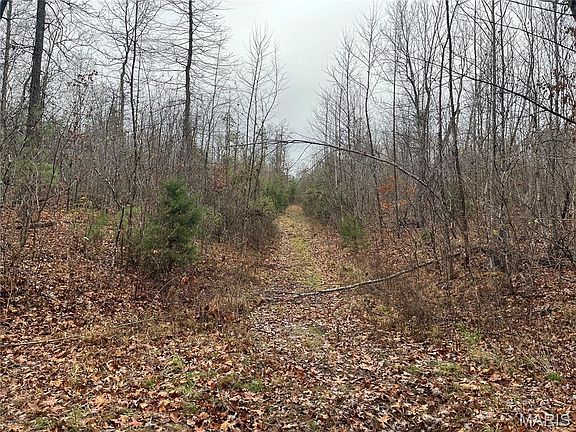 2nd image of Madison 244 County Rd #244