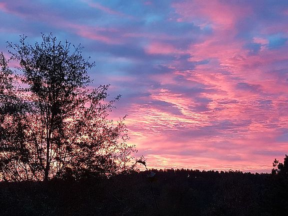 Beautiful sunrises!
