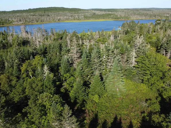 LOT 15 Shiers Rd, Halifax, NS B0J 2K0