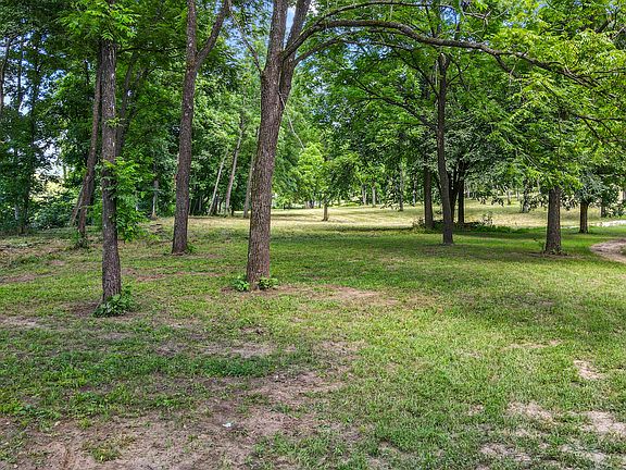 3rd image of 000 Blue Ribbon Lot 13