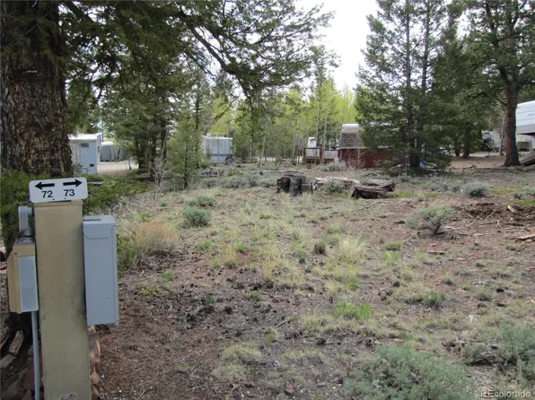 55 Rail Way, Hartsel, CO 80449