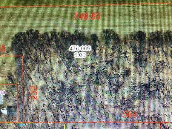 3rd image of 20300 Woodmar St