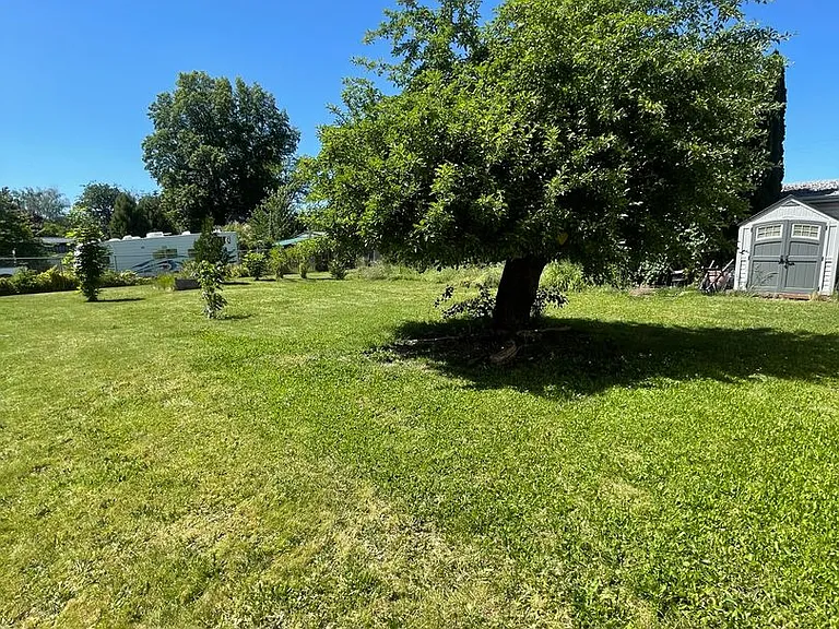 1050 Hiatt St — Photo 13