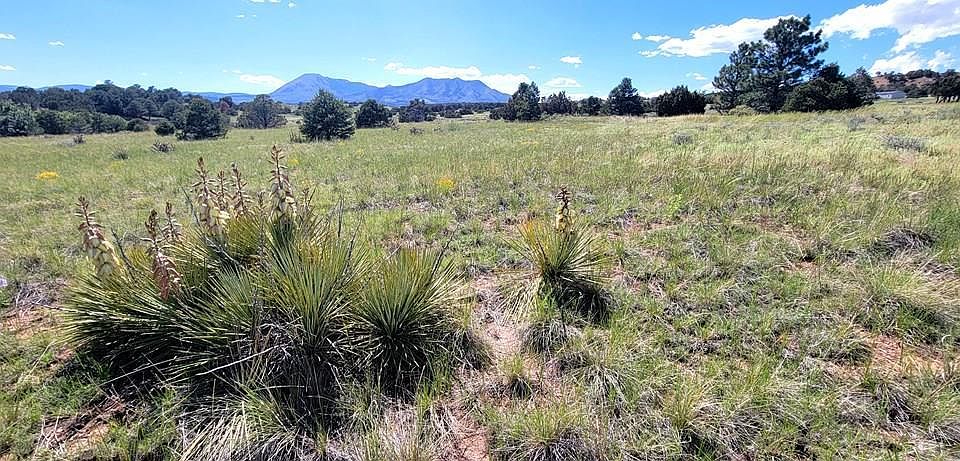 1st image of LOT 171 Choctaw Dr