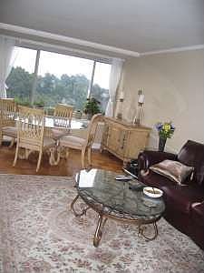 Dining and living room