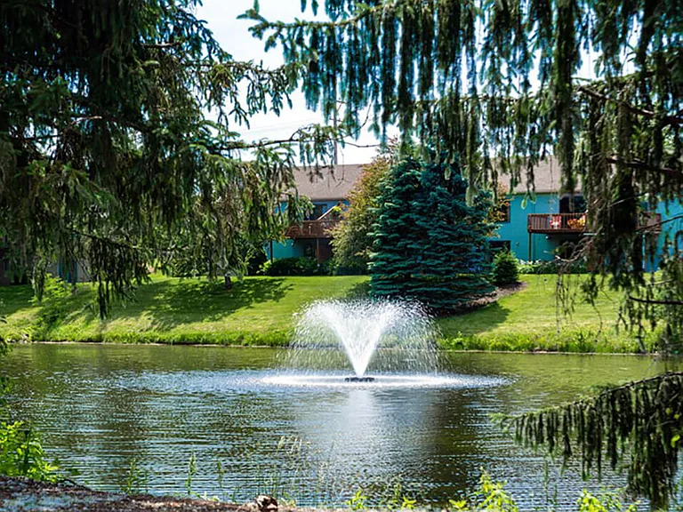 Nestled In Nature