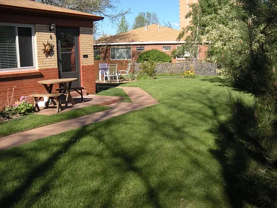 OUTDOOR YARD - 901 Fairfax St #4