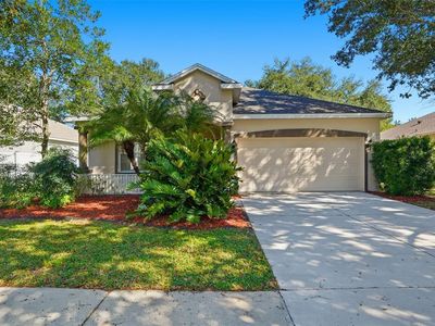 12906 Cattail Shore Ln, Riverview, FL, 33579