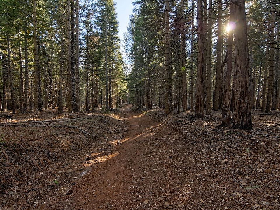 1st image of 680 Sugar Pine Rd