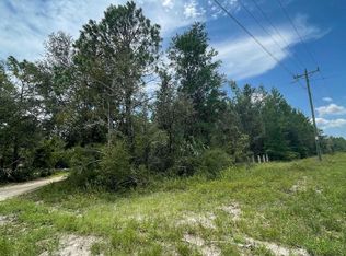 0 Hampton Springs Rd, Perry, FL 32348