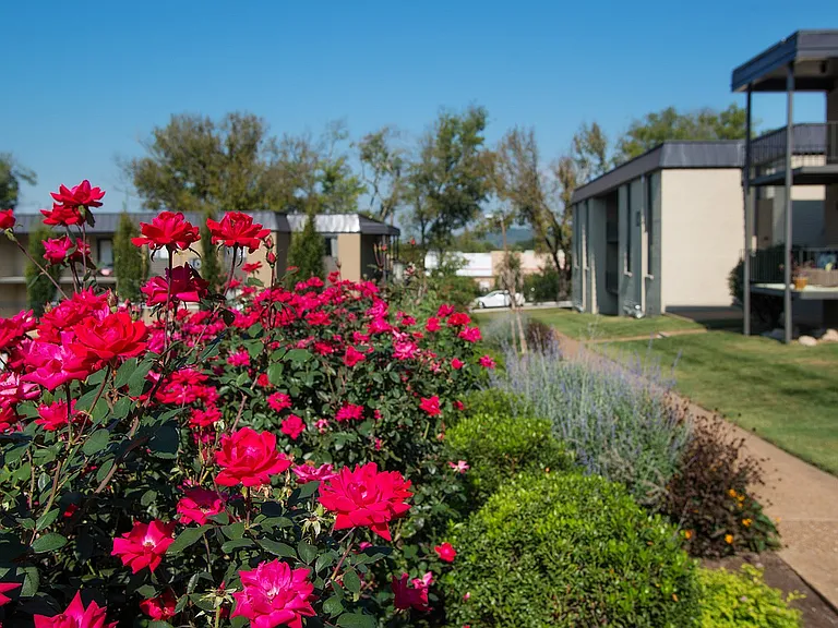 Experience serene living with lush gardens and modern amenities.