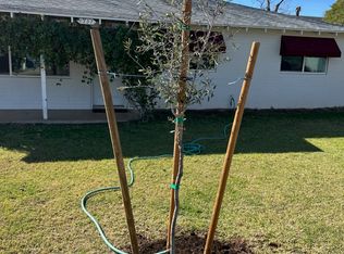 1337 E Hall St, Tempe, AZ 85281