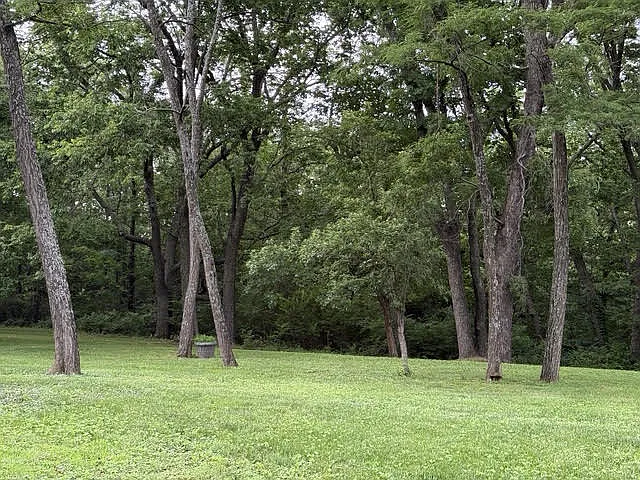Manicured lawncare