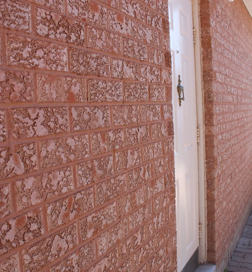 1 bed, $1,900 — Photo 3