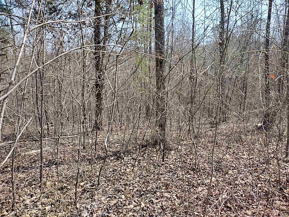 5th image of 0 Younger Access Rd