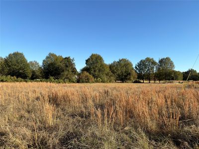LOT 21 Private Road 44005, Blossom, TX, 75416