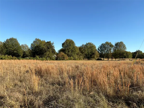 LOT 21 Private Road 44005, Blossom, TX 75416
